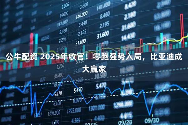 公牛配资 2025年收官！零跑强势入局，比亚迪成大赢家