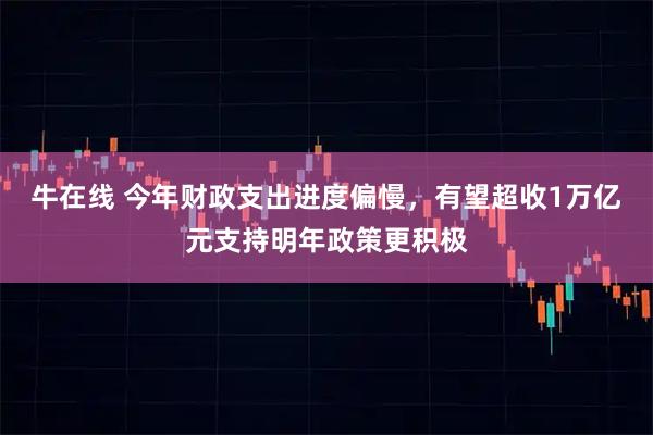 牛在线 今年财政支出进度偏慢，有望超收1万亿元支持明年政策更积极
