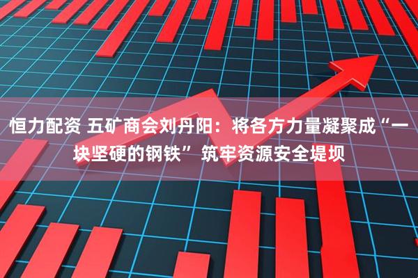 恒力配资 五矿商会刘丹阳：将各方力量凝聚成“一块坚硬的钢铁” 筑牢资源安全堤坝